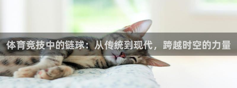 上海意昂2汽车电子有限公司：体育竞技中的链球：从传统到现代，跨越时空的力量