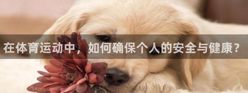 意昂24注册：在体育运动中，如何确保个人的安全与健康？