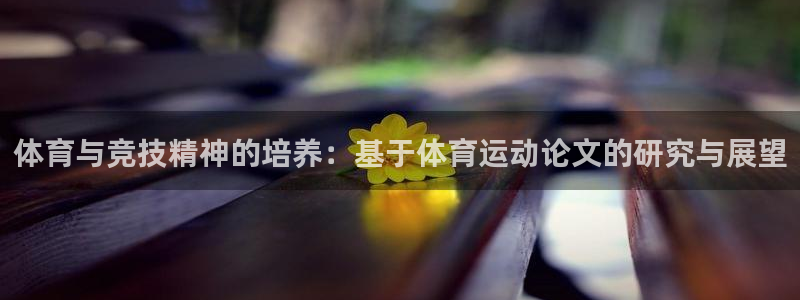意昂4平台注册：体育与竞技精神的培养：基于体育运动论文的研究与展望