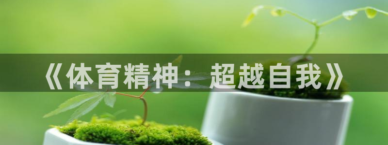 意昂24代理：《体育精神：超越自我》