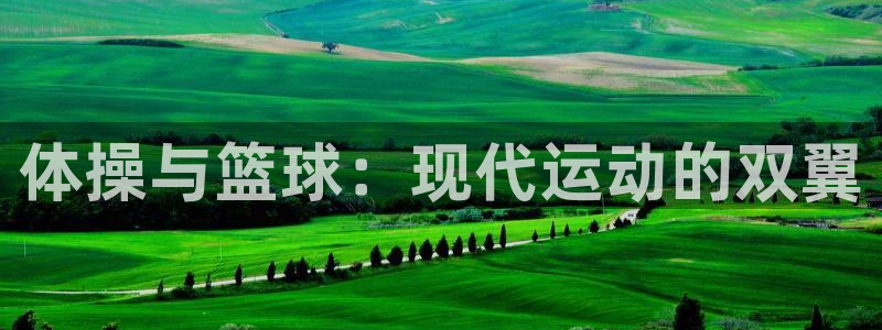 意昂2能源：体操与篮球：现代运动的双翼