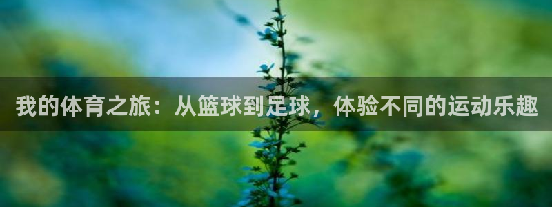 意昂扬是什么意思：我的体育之旅：从篮球到足球，体验不同的运动乐趣