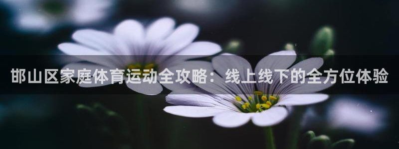 意昂2体育：邯山区家庭体育运动全攻略：线上线下的全方位体验
