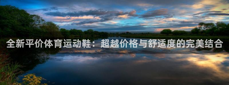 德国意昂集团：全新平价体育运动鞋：超越价格与舒适度的完美结合