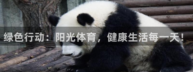 意昂2体育官网注册：绿色行动：阳光体育，健康生活每一天！