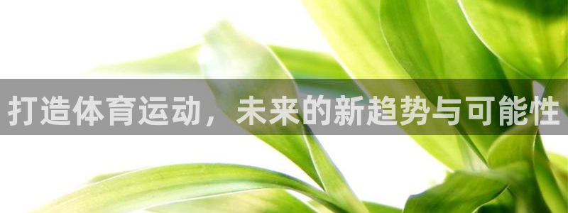意昂2体育官网登录：打造体育运动，未来的新趋势与可能性