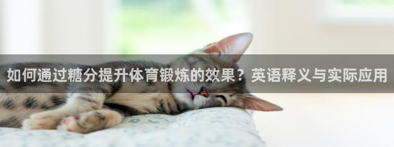意昂2代理注册：如何通过糖分提升体育锻炼的效果？英语释义与实际应用