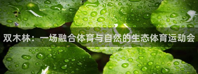 意昂24代理：双木林：一场融合体育与自然的生态体育运动会