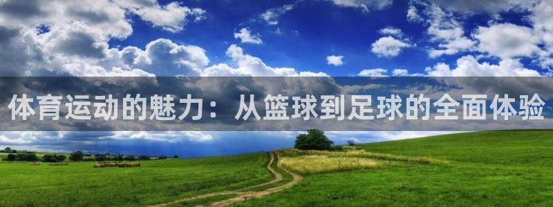 意昂22平台登录：体育运动的魅力：从篮球到足球的全面体验