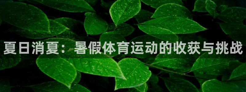 佛山市南海意昂2机电仪器有限公司：夏日消夏：暑假体育运动的收获与挑战