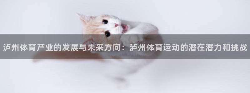 意昂2能源：泸州体育产业的发展与未来方向：泸州体育运动的潜在潜力和挑战