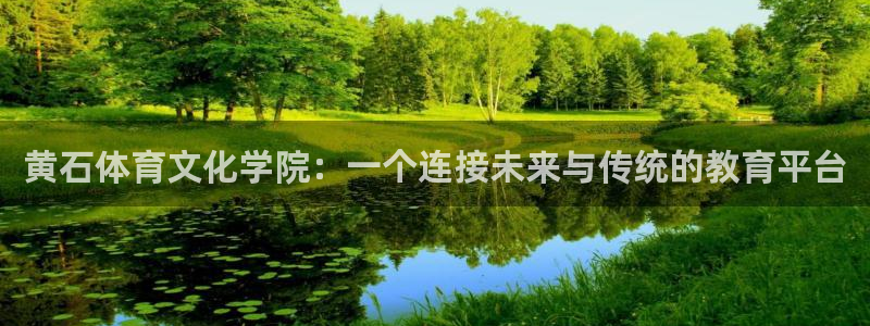 意昂23代理：黄石体育文化学院：一个连接未来与传统的教育平台