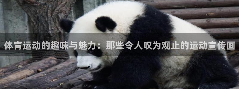 意昂2体育注册代理：体育运动的趣味与魅力：那些令人叹为观止的运动宣传画