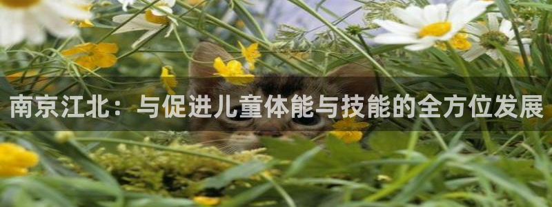 意昂2登录：南京江北：与促进儿童体能与技能的全方位发展