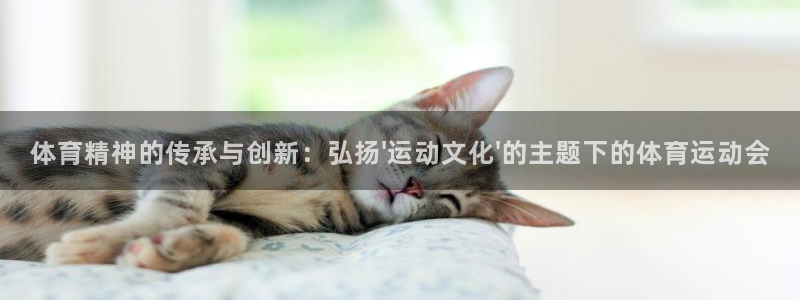 佛山市南海意昂机电仪器有限公司：体育精神的传承与创新：弘扬\'运动文化\'的主题