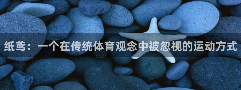 意昂2体育凯捷登陆：纸鸢：一个在传统体育观念中被忽视的运动方式