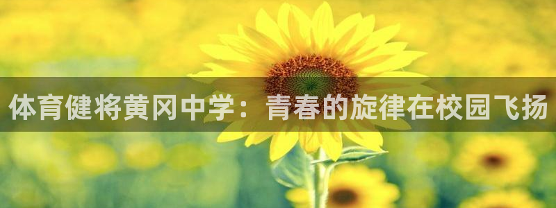 意昂体育注册代理：体育健将黄冈中学：青春的旋律在校园飞扬