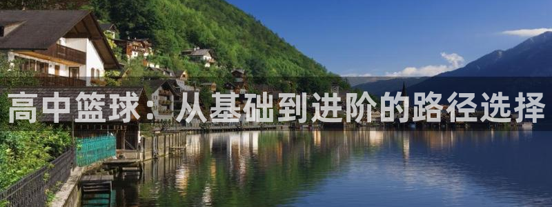 成都意昂电子有限公司：高中篮球：从基础到进阶的路径选择
