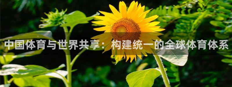 意昂2体育凯捷代理注册：中国体育与世界共享：构建统一的全球体育体系