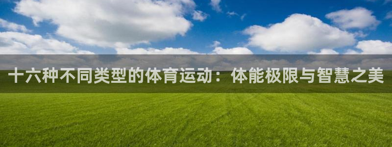 意昂体育3：十六种不同类型的体育运动：体能极限与智慧之美